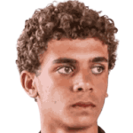 H. Abdel Karim