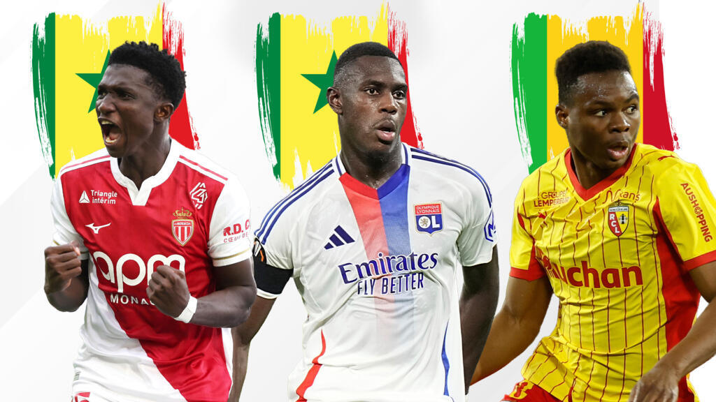 Finalistas del Premio FRANCE 24-RFI al Mejor Jugador Africano en Ligue 1