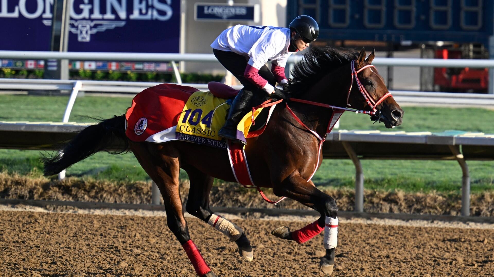 2026 Jockey Club Gold Cup: Escolhas de especialistas e probabilidades